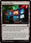 Product image for Evolving Wilds