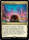 Product image for Passage merveilleux