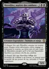 Product image for Shredder, maître des ombres