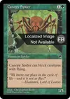 Product image for Araignée de la canopée