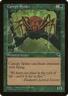 Product image for Canopy Spider