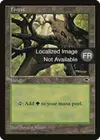 Product image for Forêt
