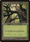 Product image for Forest