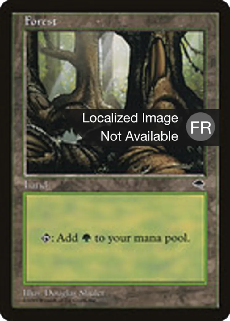 Forêt — Tempest — Magic: The Gathering