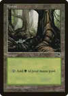 Product image for Forest