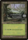 Product image for Forêt
