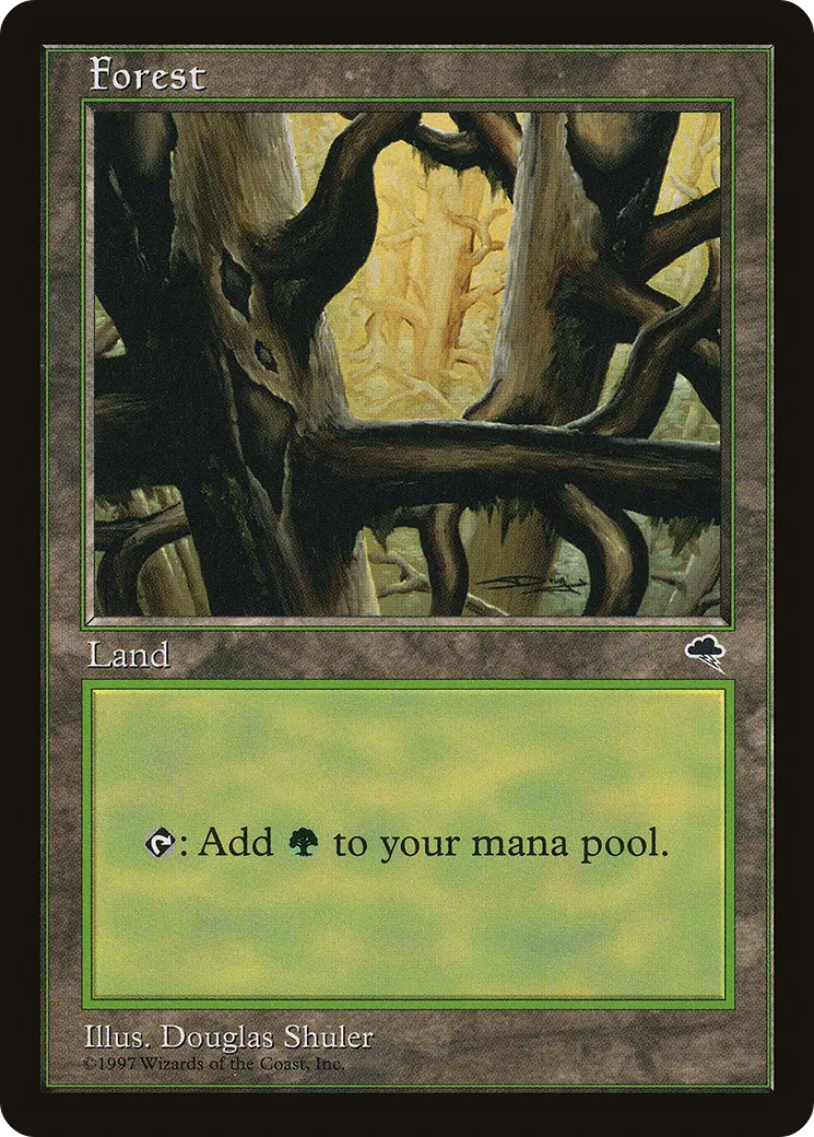Forêt — Tempest — Magic: The Gathering