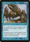 Product image for Giant Crab