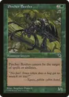 Product image for Pincher Beetles