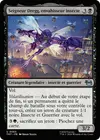 Product image for Seigneur Dregg, envahisseur insecte
