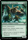 Product image for Pachyderme primordial