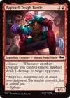 Product image for Raphael, Tough Turtle