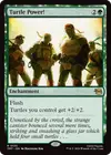 Product image for Turtle Power!