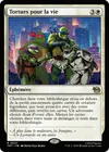 Product image for Tortues pour la vie