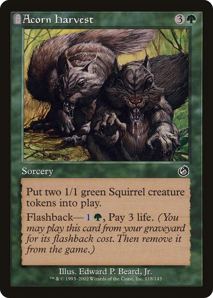 Acorn Harvest — Torment — Magic: The Gathering