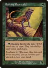 Product image for Basking Rootwalla