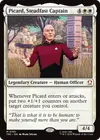 Product image for Picard, Steadfast Captain