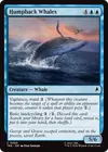 Product image for Humpback Whales