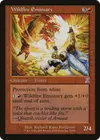 Product image for Wildfire Emissary