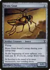 Product image for Brass Gnat