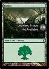 Product image for Forêt