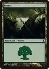 Product image for Forest