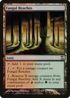 Product image for Fungal Reaches