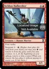 Product image for Hallebardier kelde