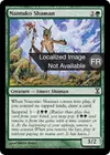 Product image for Shamane nantuko
