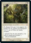 Product image for Frère de bande d'Ajani