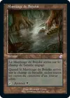 Product image for Marécage de Bojuka