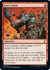 Product image for Force brute