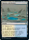 Product image for Bassins calciformes