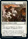 Product image for Rapaces du château