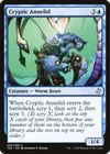 Product image for Cryptic Annelid