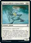 Product image for Faucon pèlerin crépusculaire