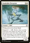 Product image for Duskrider Peregrine