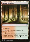 Product image for Fungal Reaches