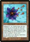 Product image for Lotus Bloom