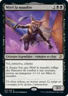 Product image for Mirri la maudite
