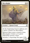 Product image for Mycologist