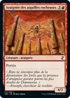 Product image for Araignée des aiguilles rocheuses