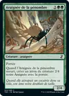 Product image for Araignée de la pénombre
