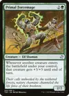 Product image for Primal Forcemage