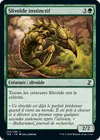 Product image for Slivoïde instinctif