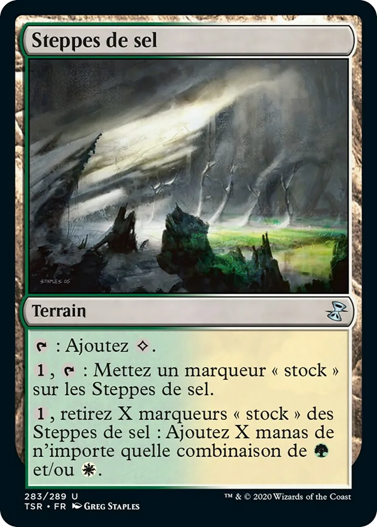 Steppes de sel — Time Spiral Remastered — Magic: The Gathering