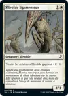 Product image for Slivoïde ligamenteux