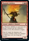 Product image for Shamane skirkien