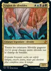 Product image for Légion de slivoïdes