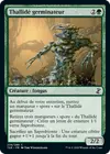 Product image for Thallidé germinateur